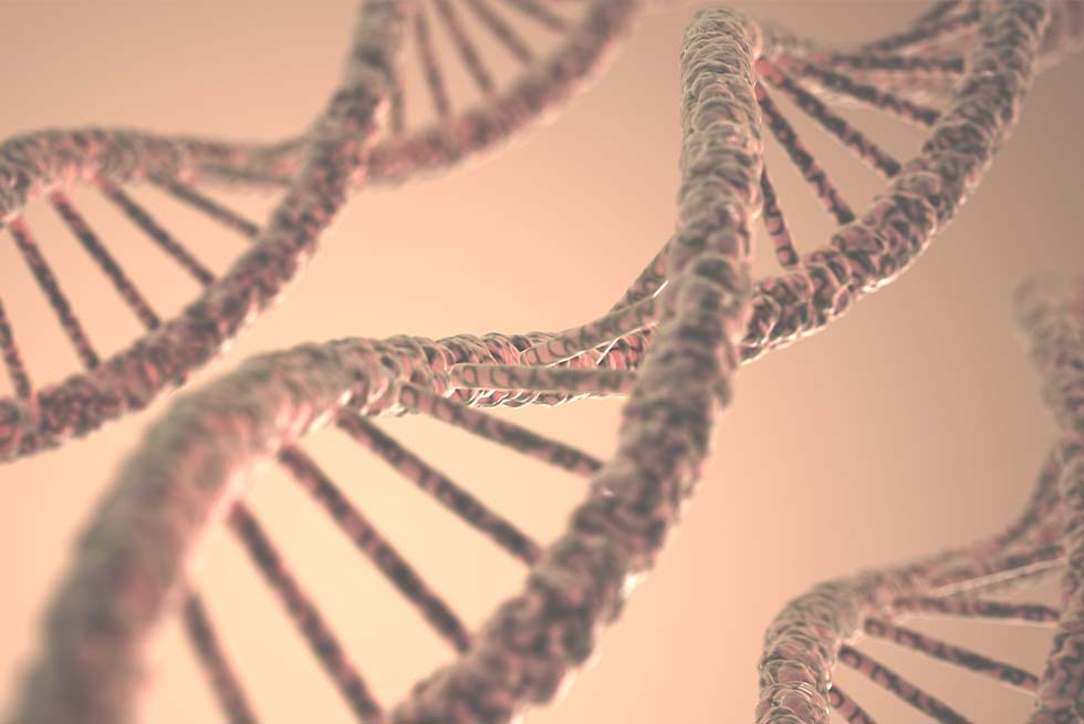 Unique RNA Gene Expression Profile Is Seen in Chronic Non-Specific Low Back Pain