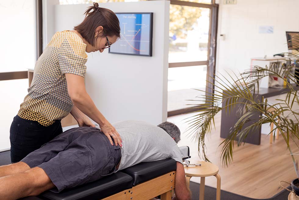 Defining Chiropractic Professional Identity: A Concept Analysis