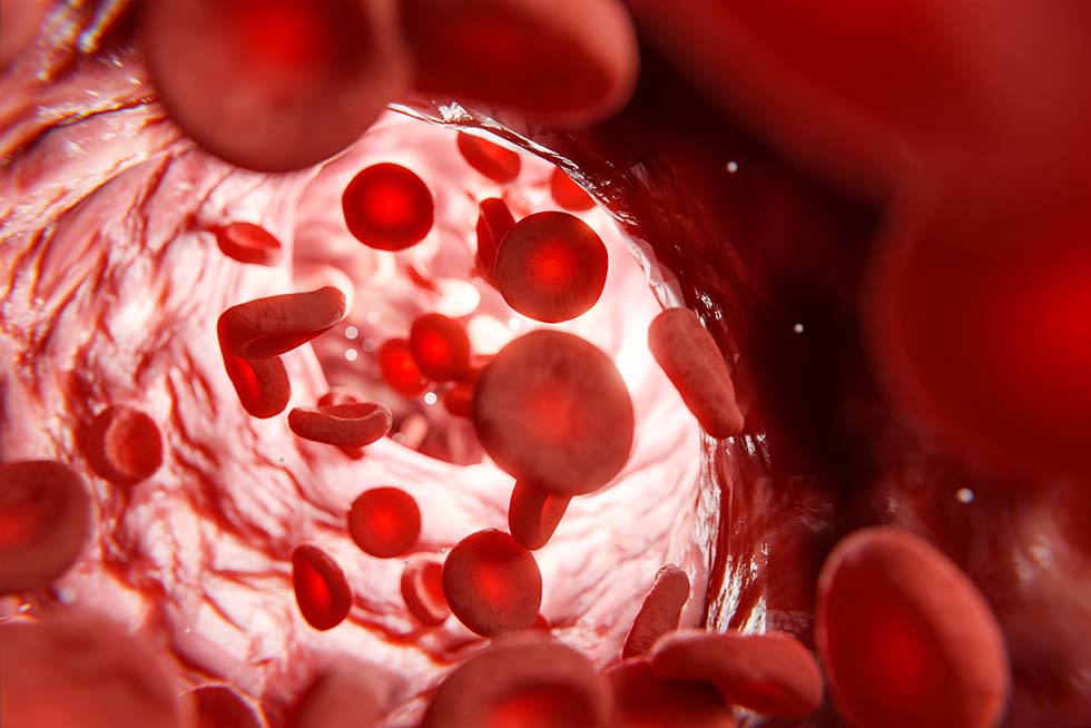 The Effects of Four Weeks of Chiropractic Spinal Adjustments on Blood Biomarkers in Adults with Chronic Stroke: Secondary Outcomes of a Randomized Controlled Trial